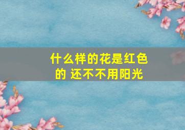 什么样的花是红色的 还不不用阳光